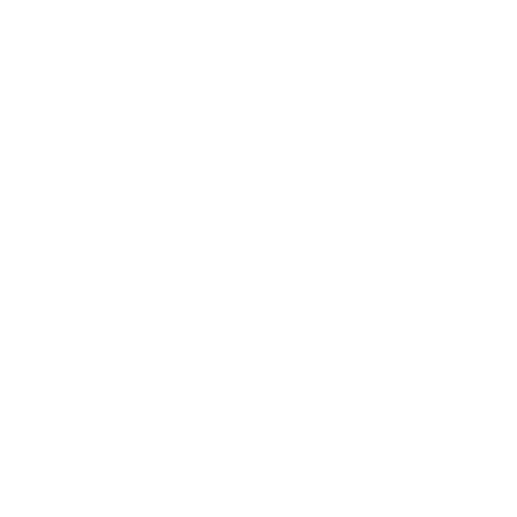 ida logo white